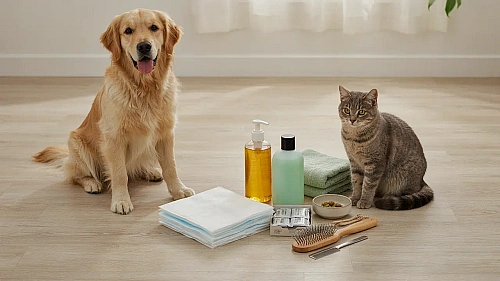 Pet Care Products: Types, Uses and Benefits for Pet Hygiene